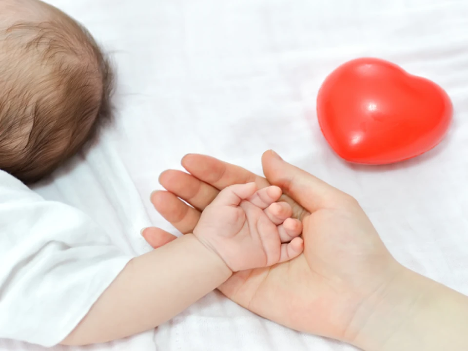 Pentingnya Dukungan Bagi Ibu yang Bekerja Agar Tetap Bisa Menyusui Bayi Mereka